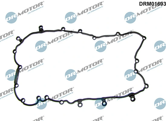 DRM01693 Lizarte