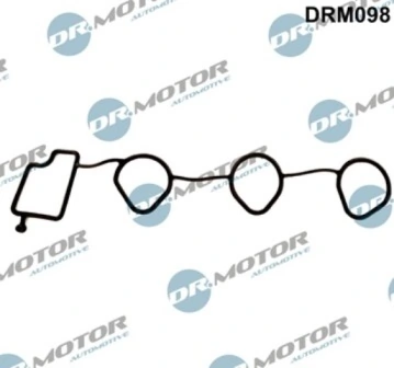 DRM098 Lizarte