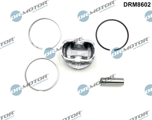 DRM8602 Lizarte