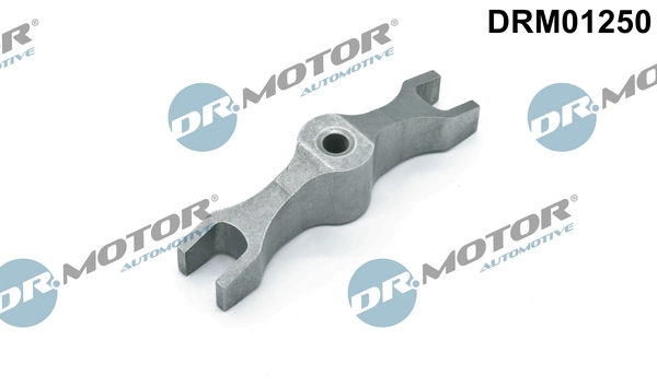 DRM01250 Lizarte