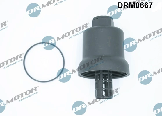 DRM0667 Lizarte