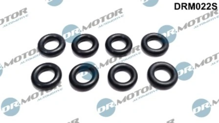 DRM022S Lizarte