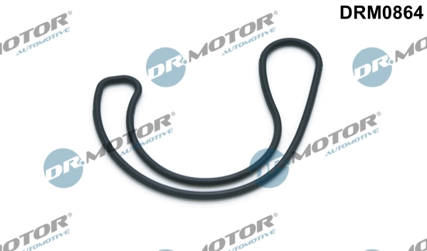 DRM0864 Lizarte