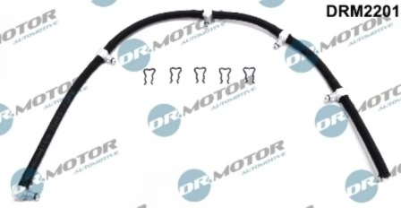 DRM2201 Lizarte