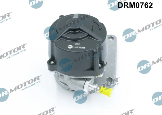 DRM0762 Lizarte