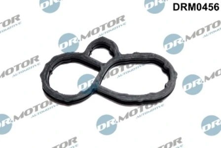 DRM0456 Lizarte