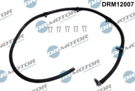 DRM12007 Lizarte