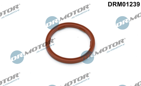 DRM01239 Lizarte