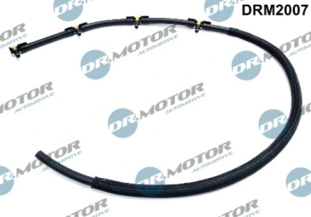 DRM2007 Lizarte