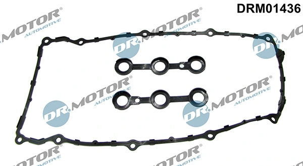 DRM01436 Lizarte