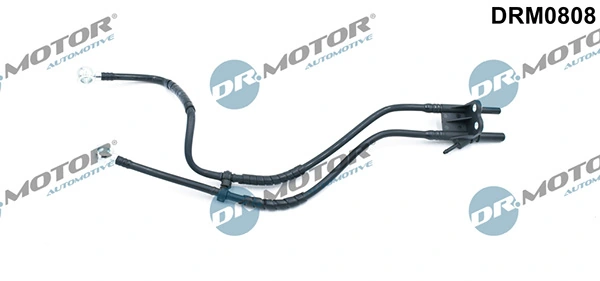 DRM0808 Lizarte