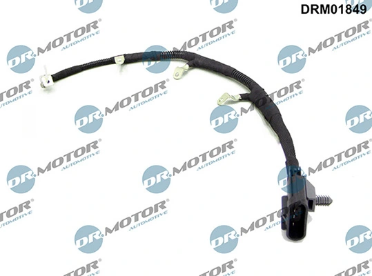 DRM01849 Lizarte