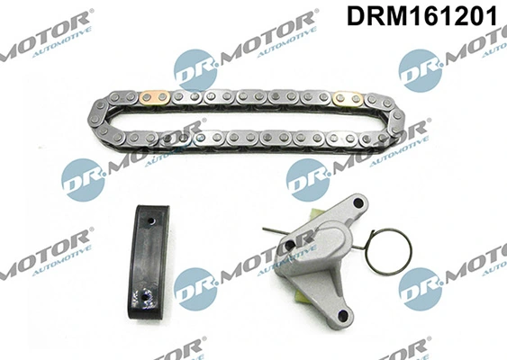 DRM161201 Lizarte