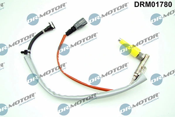 DRM01780 Lizarte