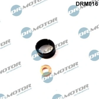 DRM016 Lizarte