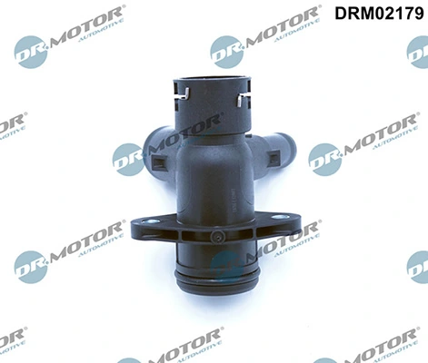 DRM02179 Lizarte