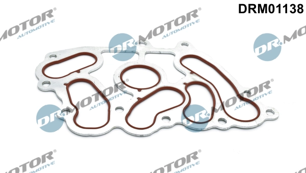 DRM01138 Lizarte