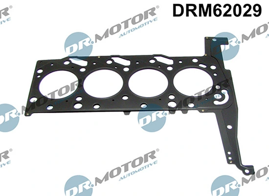 DRM62029 Lizarte