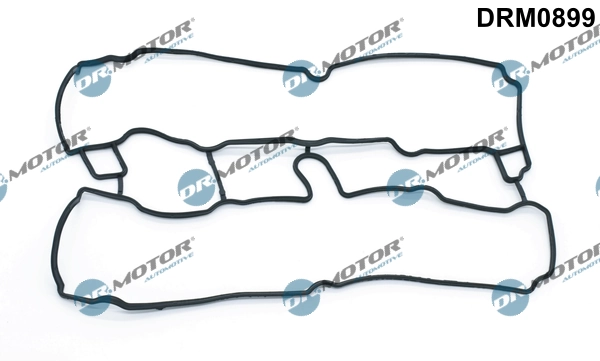 DRM0899 Lizarte
