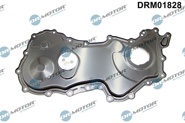 DRM01828 Lizarte