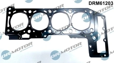 DRM61203 Lizarte
