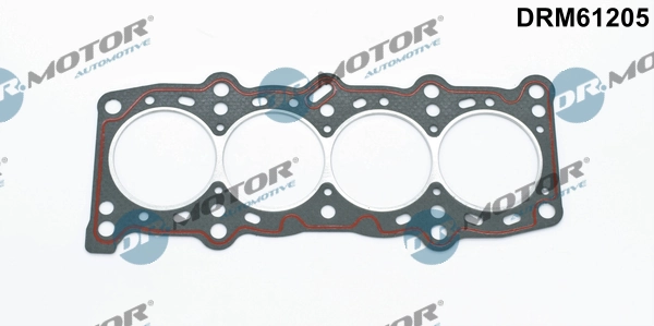 DRM61205 Lizarte