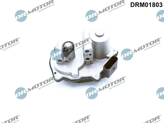 DRM01803 Lizarte