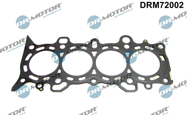 DRM72002 Lizarte