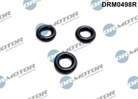 DRM0498R Lizarte