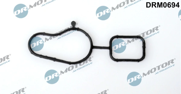 DRM0694 Lizarte
