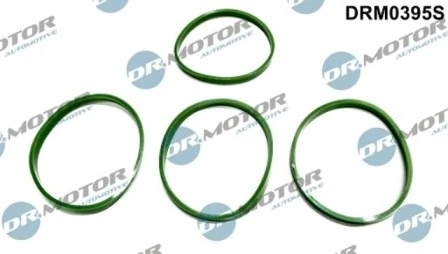 DRM0395S Lizarte