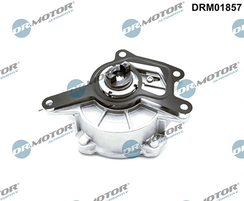 DRM01857 Lizarte
