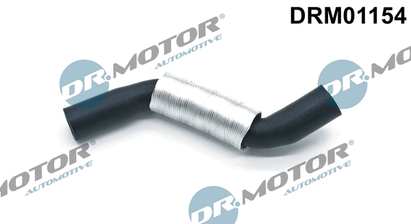 DRM01154 Lizarte