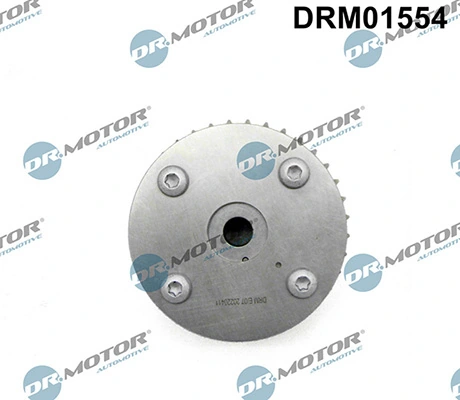 DRM01554 Lizarte