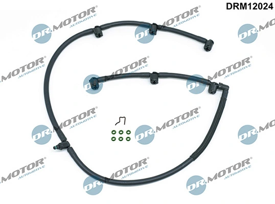 DRM12024 Lizarte