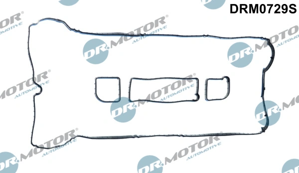 DRM0729S Lizarte