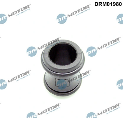DRM01980 Lizarte