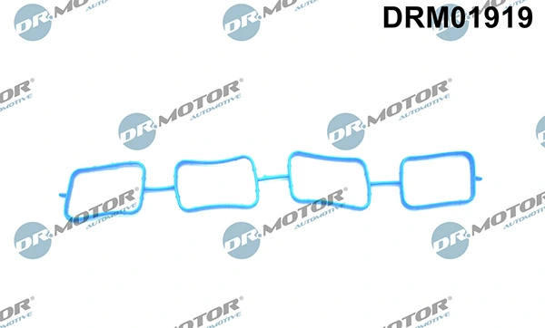 DRM01919 Lizarte