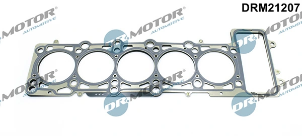 DRM21207 Lizarte
