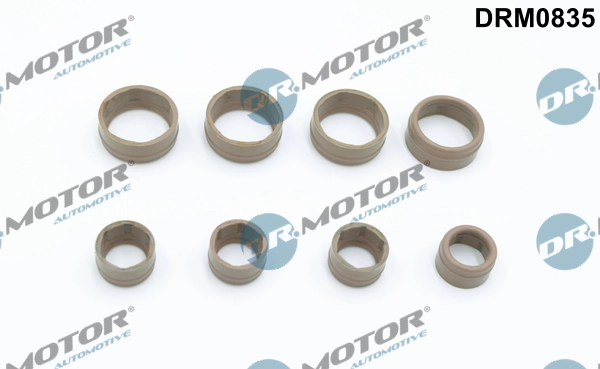 DRM0835 Lizarte