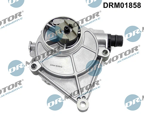 DRM01858 Lizarte