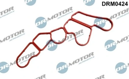 DRM0424 Lizarte
