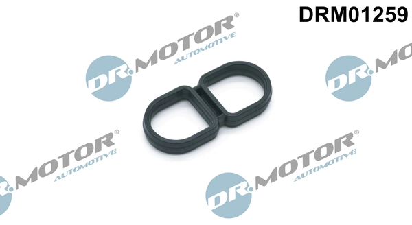 DRM01259 Lizarte