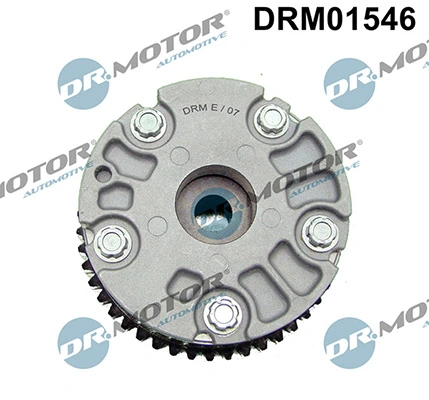 DRM01546 Lizarte