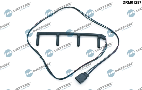 DRM01287 Lizarte