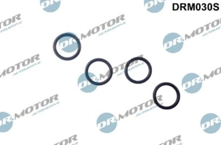 DRM030S Lizarte