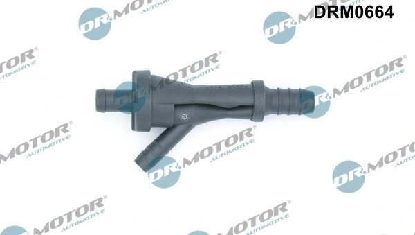 DRM0664 Lizarte
