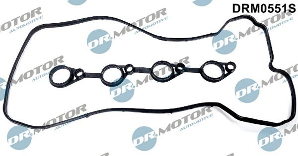 DRM0551S Lizarte