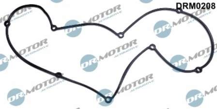 DRM0208 Lizarte