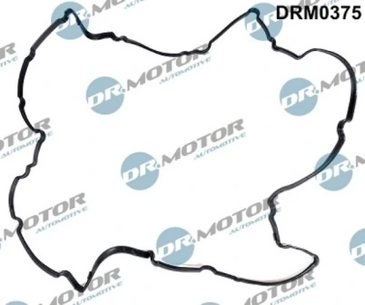 DRM0375 Lizarte